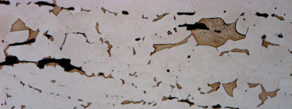 Figur 19. Årderbill SHM 18393:3263. Foto från mikroskopet på polerat och etsat prov. Eggen till höger i bild.