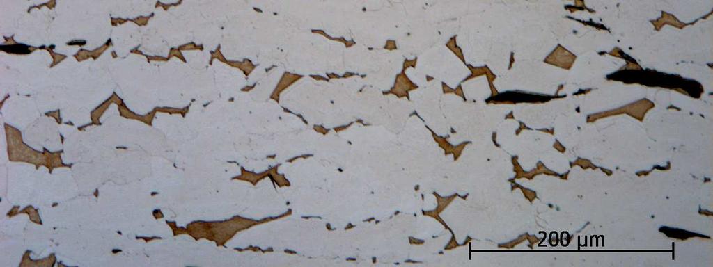 Foto från mikroskopet på polerat och etsat prov. Eggen till höger i bild.