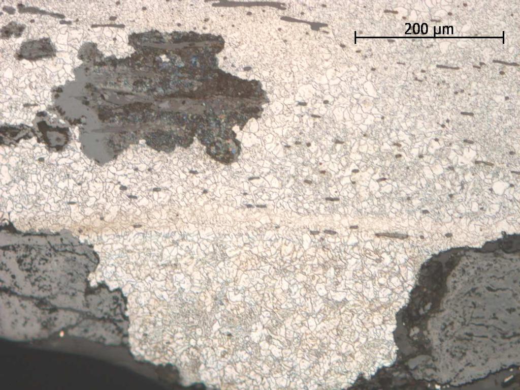 Figur 32. Lien SHM 23127. Foto från mikroskopet på polerat och etsat prov. Detalj ur vänstra delen av figur 30. Eggen till vänster.