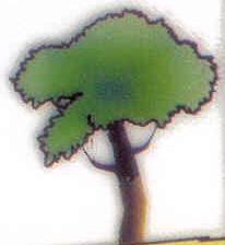 byggtiden