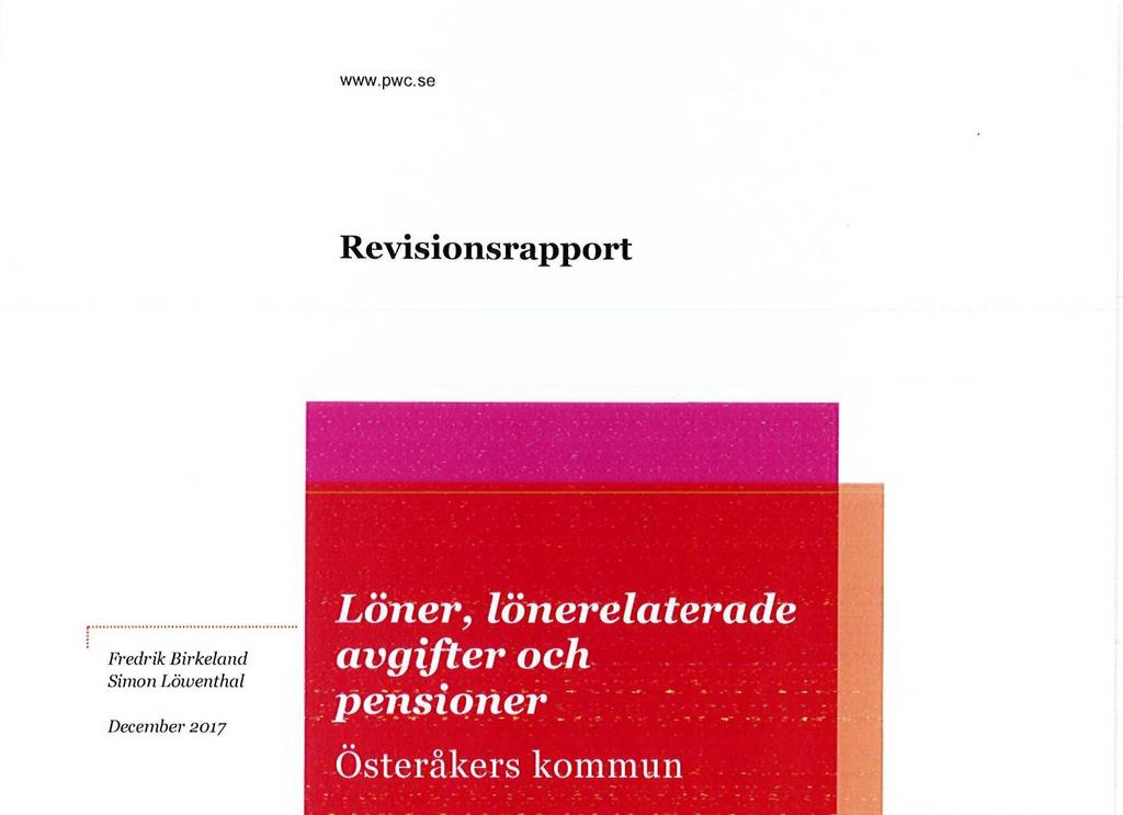 Revisionsrapport