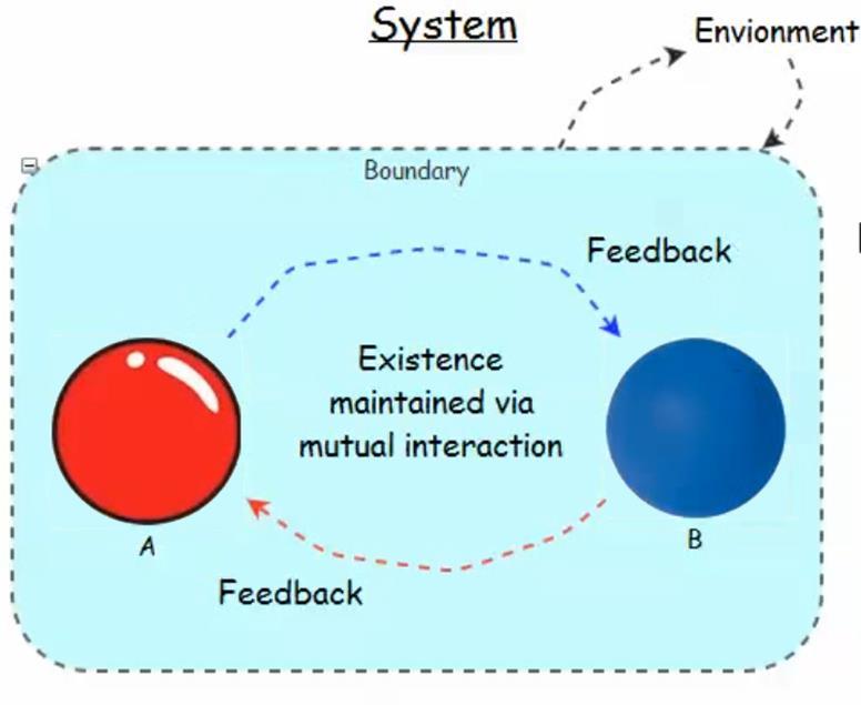 Systemets