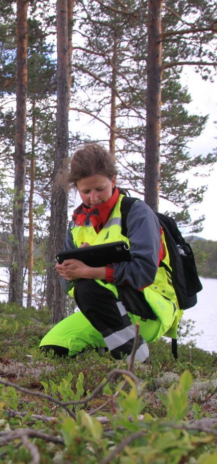 SGUs roll - grundvatten ansvar för miljökvalitetsmålet Grundvatten av god kvalitet föreslår lagstiftning och styrmedel för att nå målet samlar in information om grundvattnets kvalitet o kvantitet