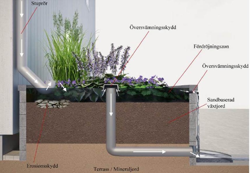 Barken inom stadsdelen Masthugget 12 () 217-7- Ett biofilter kan t ex fyllas av pimpsten och ha makadam i botten. Det kan också fyllas med makadam och växtjord. I bädden planteras lämpliga växter.