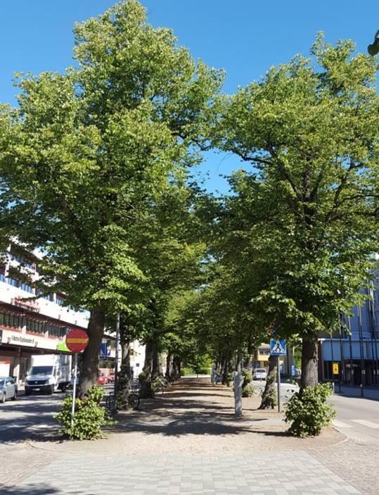 Kostnaden för utbyte av ytbeläggning och marköverbyggnad togs av parkavdelningen och förändring av dagvattenhantering i befintlig väg av gatuavdelningen på kommunen.