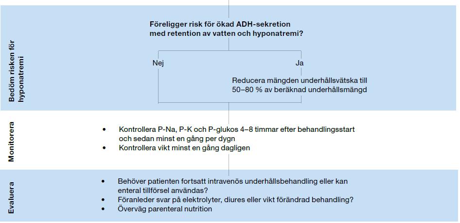 Flödesschema intravenös