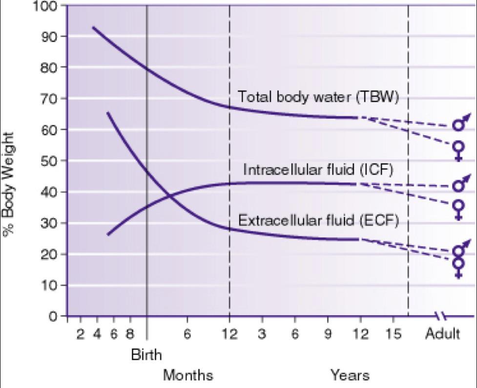 Skillnader vuxna barn Spädbarn har större andel kroppsvatten Spädbarn har större ECV jämfört med ICV förlorar vätska snabbare Barn behöver mer vätska än vuxna eftersom: