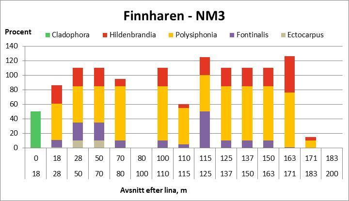 Figur 23. Dominerande makroalger och stor näckmossa (Fontinalis antipyretica) och deras täckningsgrad längs profilen vid Finnharen NM3. Figur 24.