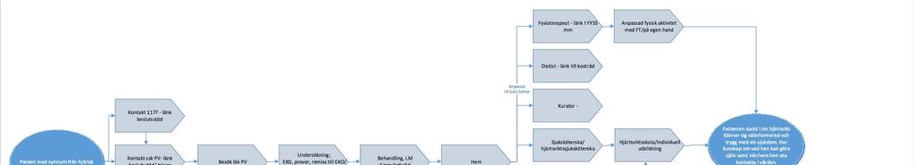 Kartläggning av patientprocesser 1. Primärvård 2.