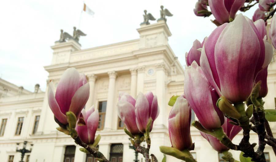 Nyheter i Villkorsavtalet Från och med 1 januari 2018, spara max 30 semesterdagar Ny