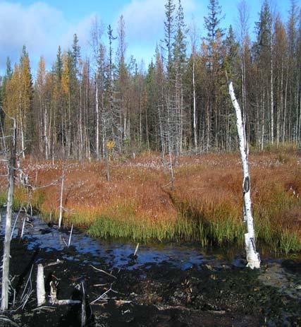 Figur B1 a-b. Provpunkt R-8 i nordvästra delen av vallen (a) samt röda fällningar vid R-9 (b).