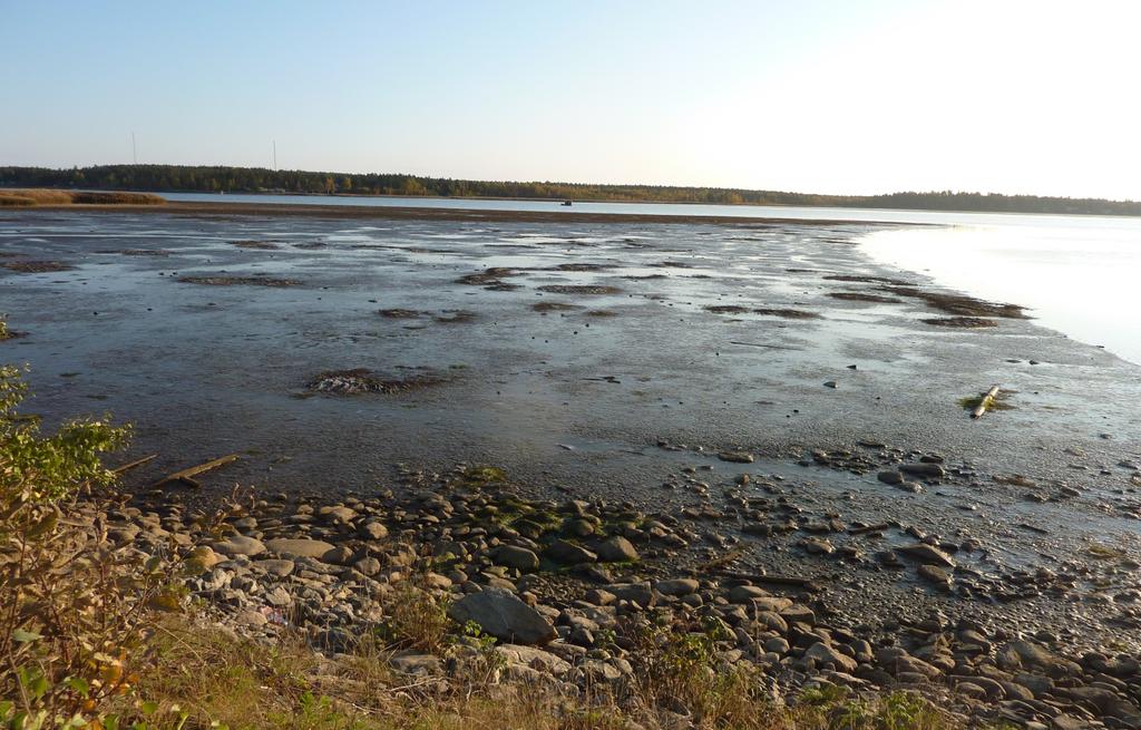 SULFIDJORD Vad är det och hur karaktäriserar vi den?