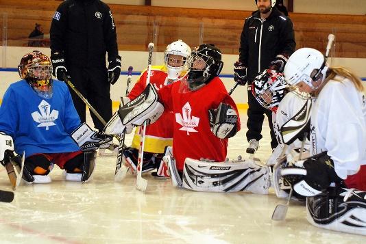samarbete med FBK Hockeyallians och SISU