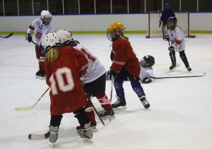 FÖRSLAG TILL VERKSAMHETSPLAN FÖR SÄSONGEN 2018-2019 Uppdrag Värmlands Ishockeyförbund har till uppgift att främja, utveckla och administrera idrotterna Ishockey och Inlinehockey i Värmland.
