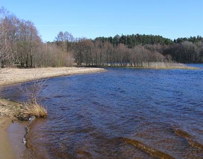 Ett nyfött barn i Sverige kan ha nästa 300 industrikemikalier i blodet. Även om nedfallet av svavelsyra minskat är markerna ännu försurade.