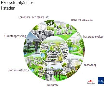 Figur 3: Naturens värden representerade som olika ekosystemtjänster.