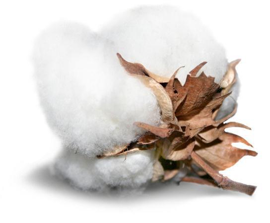 HEMTEX VÄRDEKEDJA HEMTEX VÄRDEKEDJA Hemtex värdekedja CSR MISSION Hemtex CSR mission är att Hemtex produkter ska tillverkas med hänsyn till miljö, hälsa, säkerhet och arbetsvillkor.