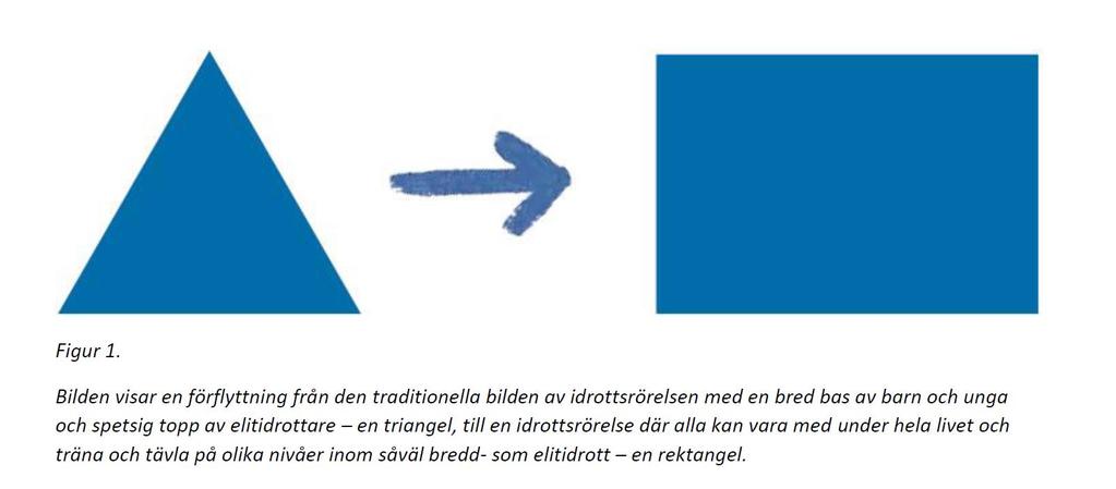 Vilken roll ska