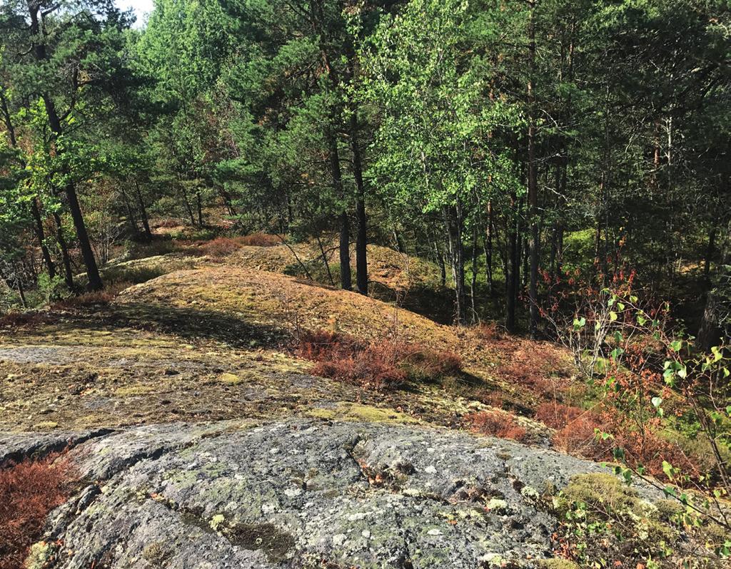 Markarbeten kommer att behöva utföras vid exploatering inom området. Geotekniska förhållanden Enligt SGU:s geotekniska karta över planområdet består markytan/jordarterna av urberg och morän.