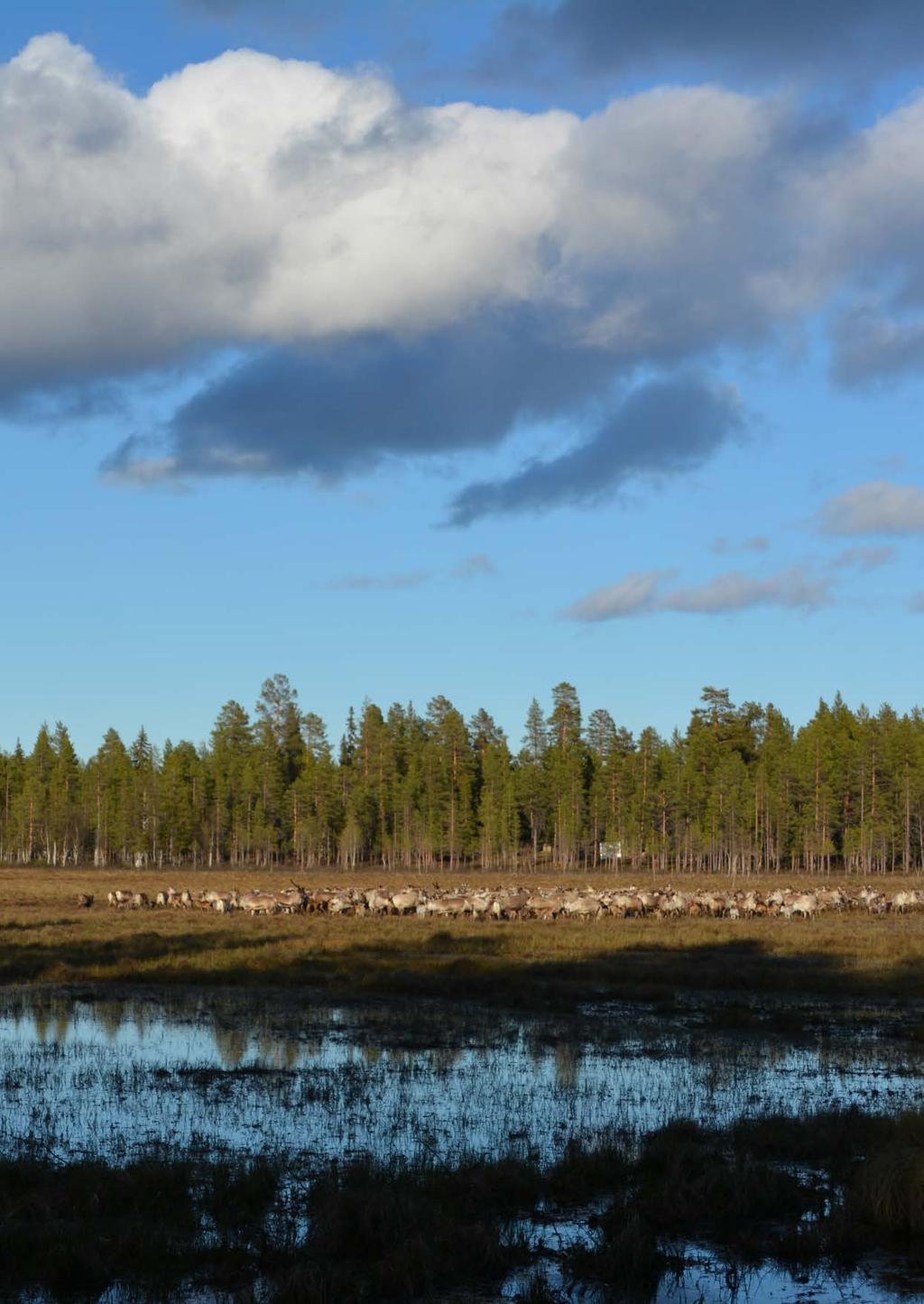 Tack! Att genomföra ett projekt i den här storleksordningen kräver all möjlig slags hjälp.