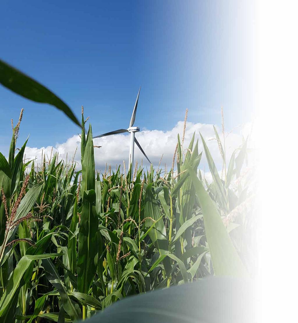 FODERMAJS FODERMAJS Fodermajs Majsensilage - stärkelserikt grovfoder Majs är ett utmärkt grovfoder som är smakligt och har ett högt stärkelseinnehåll.