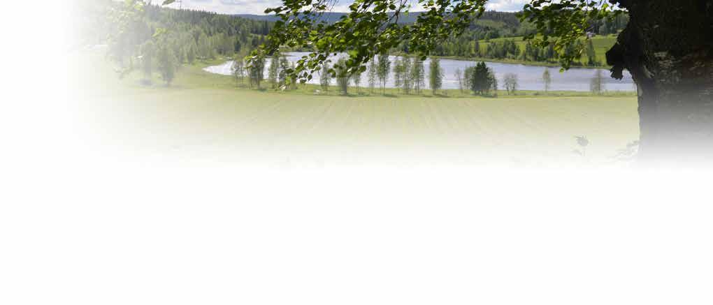 VALL VALL Vallblandningar Södra och mellersta Sverige Blandvallar Så här läser du tabellen!