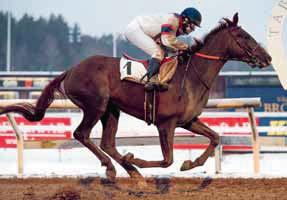 Hästen är, liksom helbrodern Jimmy Mack, begåvad med en vass speed som är svår att värja sig emot.