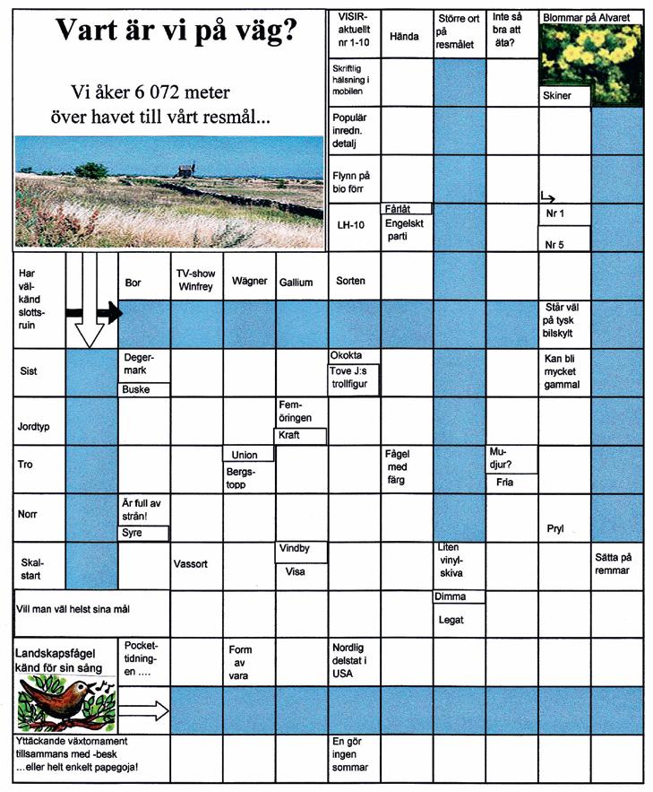 VISIRs 17:de korsord Leilis