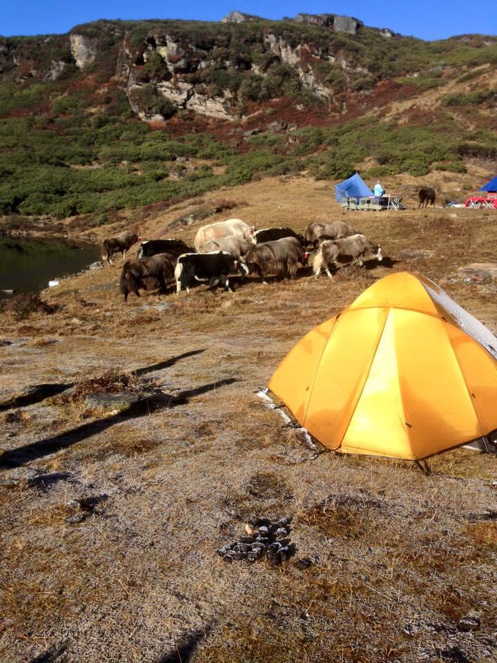 Efter att ni kommit ner till er väntande bil längtar ni säker till en dusch och klädbyte. Ni förbereder er för morgondagens start av er bergsvandring i Himalaya. Övernattning på hotell i Paro Dag 04.