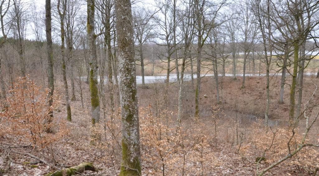 Rättsförhållanden Fastighet Fastighetsbeteckningen är Hässleholm Skea 2:1 del av och fastigheten är belägen i Hässleholms kommun, Sösdala församling. Skattetal Fördelas efter lantmäteriförrättning.