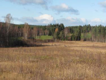 Genom detta förslag kommer arealen av sammanhängande öppet landskap att öka avsevärt och kommer att gynna fågellivet i Glisstjärn.