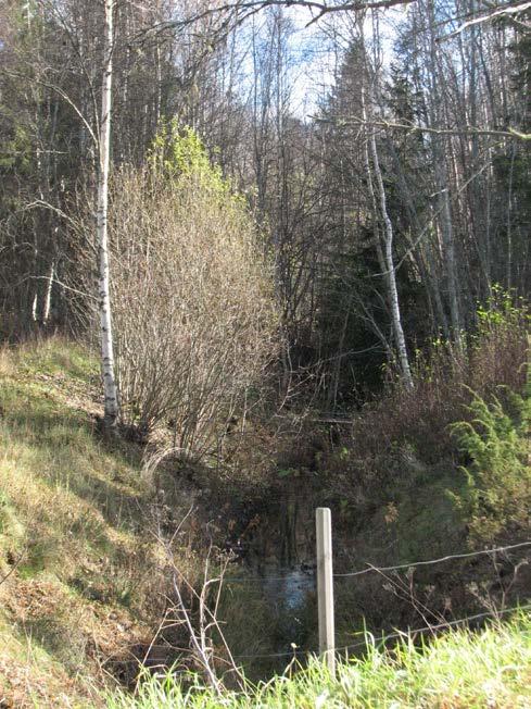 Åtgärden är prioriterad! Utloppet ur sjön är inte så lätt att åtgärda. Antingen behåller man vegetationen runt vattendraget, vilket gillas av den vandrande fisken.