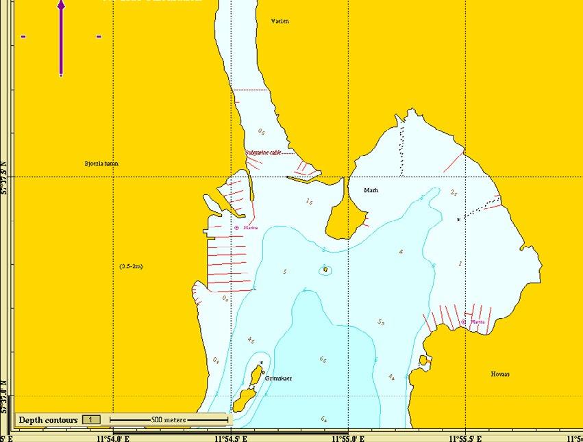 2.10 Askim (Göteborgs kommun) Stationens position: N 57 37,530 E 11 55,210 Datum 2011-11-13. Askimsbadet utgörs av en grund sandig botten med ålgräsvegetation längre ut från stranden.