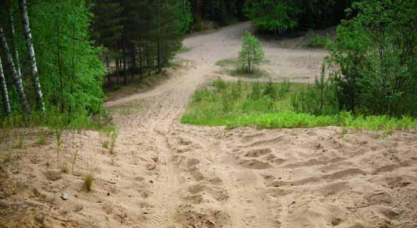 Deponi för Tjärnans betongfabrik. Slänten ned mot sandtagets botten. Betong innehåller cement, sand, sten, vatten samt eventuella tillsatsmedel och tillsatsmaterial. Tillsatsmedel används för att t.