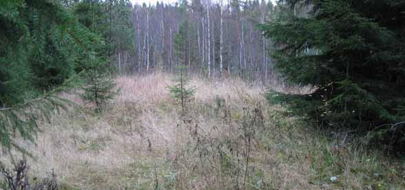 vissa ämnen över riktvärdena. Undersökningsresultaten ger därmed en indikation om vilka föroreningar som kan finnas i deponin vid Bockberget.