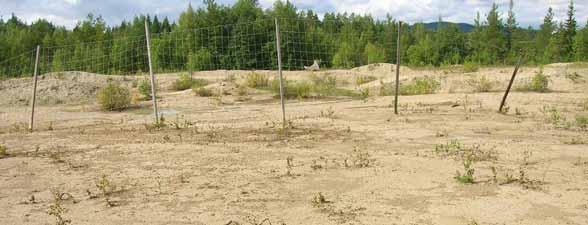 Andra mesadammen. Växtligheten är sparsam på större delen av området. Omgivningen utgörs av skogsmark och spridd bebyggelse nära tätorten. Avståndet till närmaste bostad är ca 100 m.