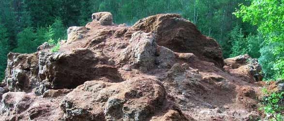 Ulvshyttans hyvelspånstipp. Nedbrytning och erosion av hyvelspånet är orsak till spånhögens speciella utseende. Ulvshyttans hyvelspånstipp. Smågranar i kanten av deponin och rester av spånledningen.