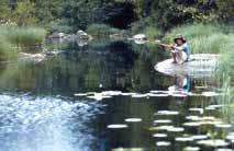GAME FISHING TROUT