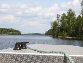 With this right, comes the responsibility towards people and wildlife by not harming the