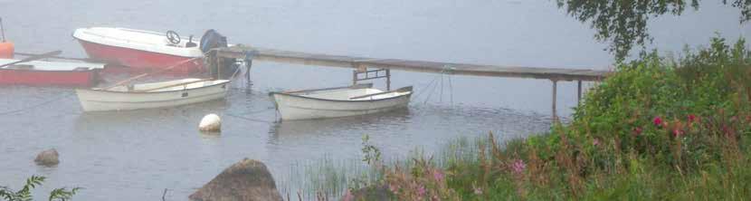 grab your fishing rod.