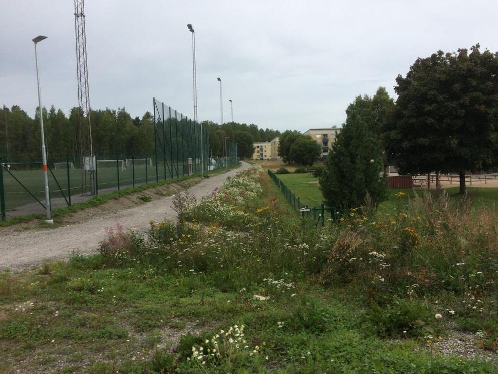 6 (11) Idrottsplatsen till vänster och planområdet till höger Planområdet sett norrifrån/ Hedhamregatan Planförslag kvartersmark för bostäder, vårdboende, förskola och centrum Planförslaget är att