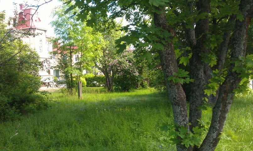 Foto från 2013 över markområdet Den Åbergska/ Bergkvistska gården var vid var vid 1900- talets början en av Ljusdals stationssamhälles praktfullaste gårdsanläggningar.