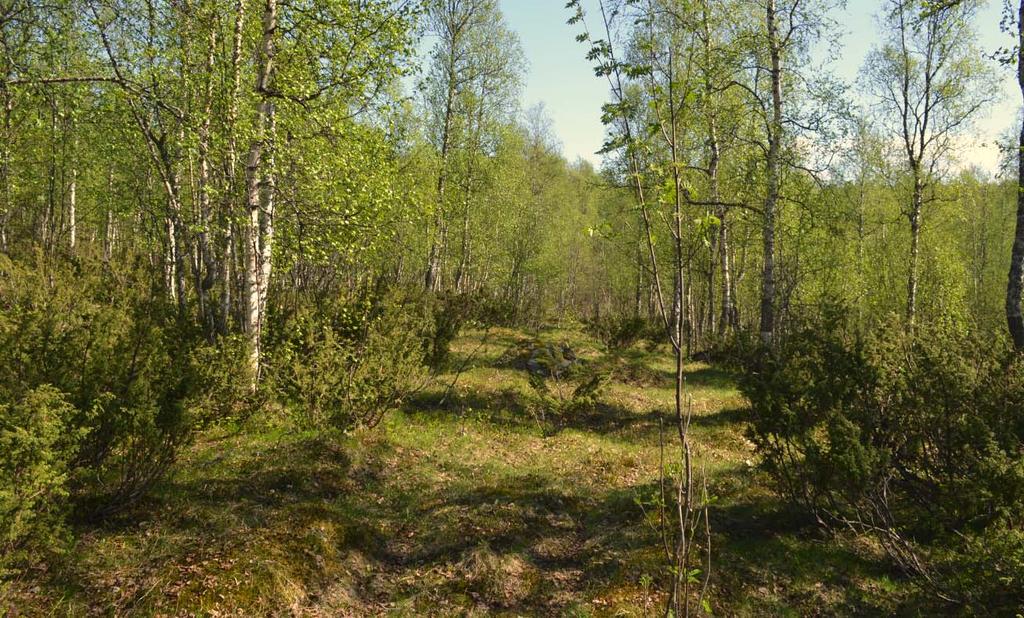 BEHOVSBEDÖMNING Sida 6 av 14 Bild tagen mitt planområdet mot sydost.