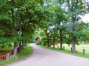 Norra Transjö Utmed vägen i norra delen av Transjö finns både äldre jordbruksfastigheter som fanns här innan bruket etablerades och bostäder som på olika sätt använts av glasarbetare.