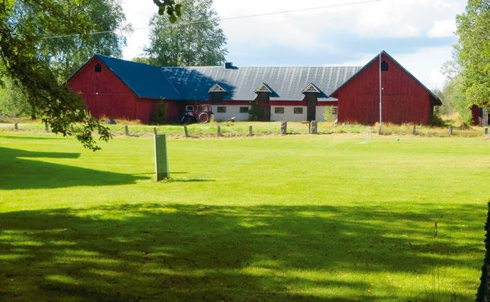 14. Brukets jordbruk De äldre glasbruksorterna hade egna jordbruk för att kunna vara självförsörjande på till exempel potatis, mjölk, ägg, kött och mjöl.