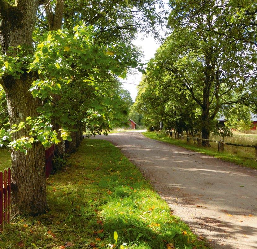 Välkommen till Transjö Det här materialet är tänkt att användas som en guide för dig som vill gå på upptäcktsfärd bland glasbruksmiljöerna.
