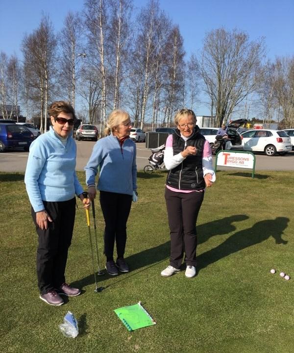 Därefter rullade vår tisdagsgolf igång. I år stod vi värdar för Hallands första nationella damdag. På parkeringen tog gentlemen emot och hjälpte oss med golfbagarna.
