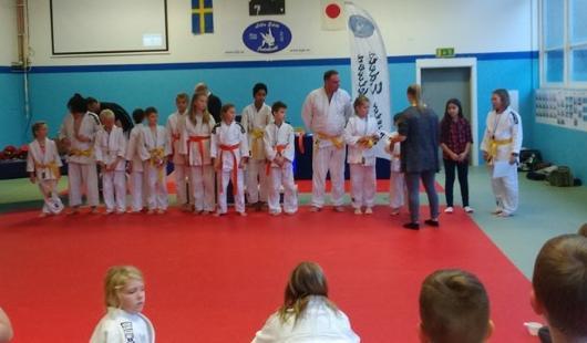 KM (Klubbmästerskap) Lilla Edets Judoklubb 2015 Här kommer