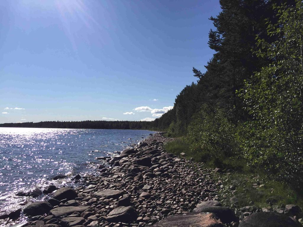 Skog & jakt med stuga vid Siljan Mora Häradsarvet 176:1 Skogsfastighet om 17,5 ha fördelat på två skiften med hög tillväxt. Mindre timmerstuga och jakträtt i två viltvårdsområden ingår.