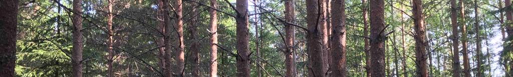 till länsväg 938 och sjövägen till Svartenviken efter ca